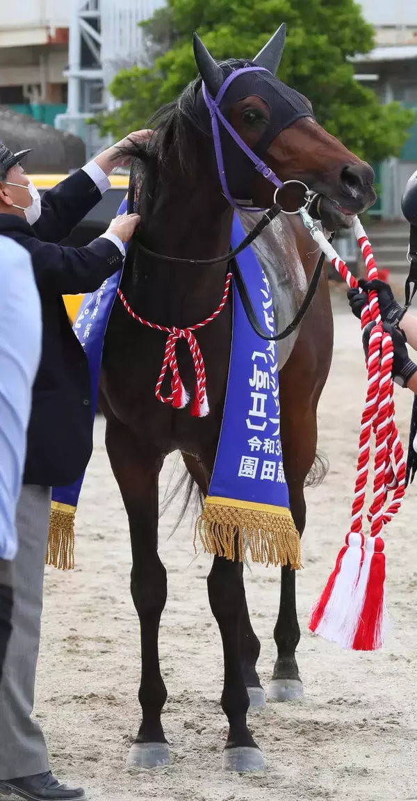 ２０２１年の兵庫ＣＳを制したリプレーザが競走馬登録抹消　今後は地方競馬に移籍する予定