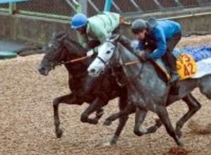 【皐月賞・２週前】ゾロアストロは力強い走りで好調アピール　宮田調教師「十分にチャンスはあると思います」