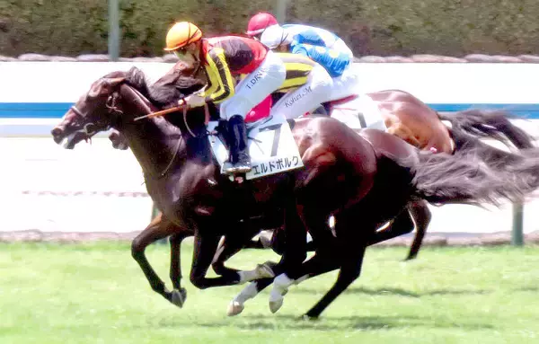 【小倉５Ｒ・２歳新馬】大物感漂うエルドボルグがデビュー戦Ｖ　「キタサンブラック産駒×斉藤崇厩舎」クロワデュノールほうふつ