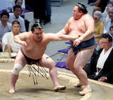 「【大相撲】１３年ぶりの十両・玉鷲が初黒星「くー」　悔しさ漏れる　１勝１敗「落ち着いていけば良かった」」の画像1