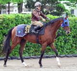 「【９日の注目・札幌６Ｒ】３・２億馬ヘイジュードが距離延長で初勝利へ　兄はＧ１馬のキラーアビリティ」の画像1