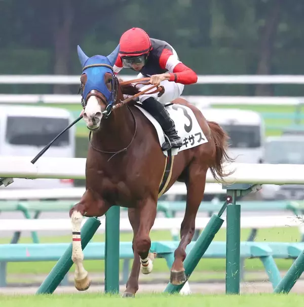 【中山２Ｒ】バーイード産駒がＪＲＡ初勝利！テキサスが決めた　岩田望来騎手「馬場が他の馬より得意だったのかな」