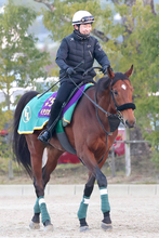 【香港Ｃ】海外初挑戦のベラジオオペラがロマンチックウォリアー撃破へ　上村調教師「中途半端な仕上げはしない」