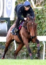 【香港マイル・ライバル診断】枠順は歓迎できないヴォイッジバブル　前進期待できるギャラクシーパッチ