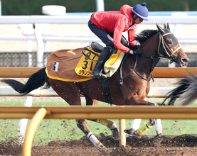 【注目馬動向】グランブリッジは東京大賞典がラストラン　ダートで重賞５勝