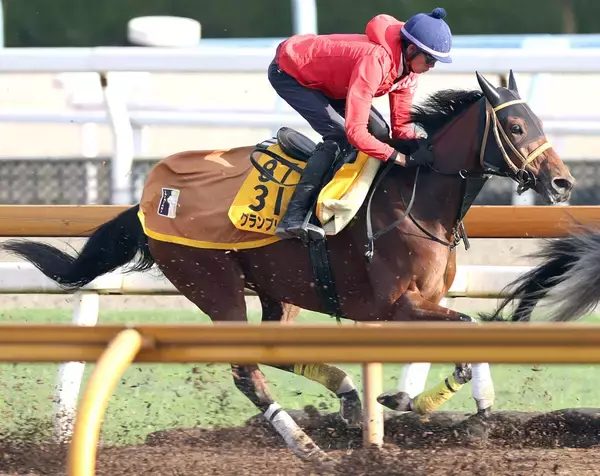 【注目馬動向】グランブリッジは東京大賞典がラストラン　ダートで重賞５勝