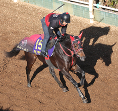 【朝日杯ＦＳ・考察】在厩調整で状態アップ！　ルーキー松ケ下記者が衝撃受けた前走圧勝馬が坂路で鋭い走り　