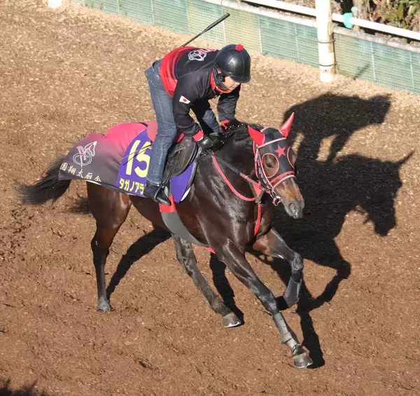 【朝日杯ＦＳ・考察】在厩調整で状態アップ！　ルーキー松ケ下記者が衝撃受けた前走圧勝馬が坂路で鋭い走り　