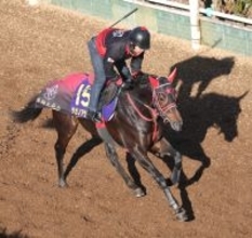 【朝日杯ＦＳ・考察】在厩調整で状態アップ！　ルーキー松ケ下記者が衝撃受けた前走圧勝馬が坂路で鋭い走り　