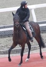 土曜阪神競馬場の注目激走馬…阪神１１Ｒ毎日杯・Ｇ３