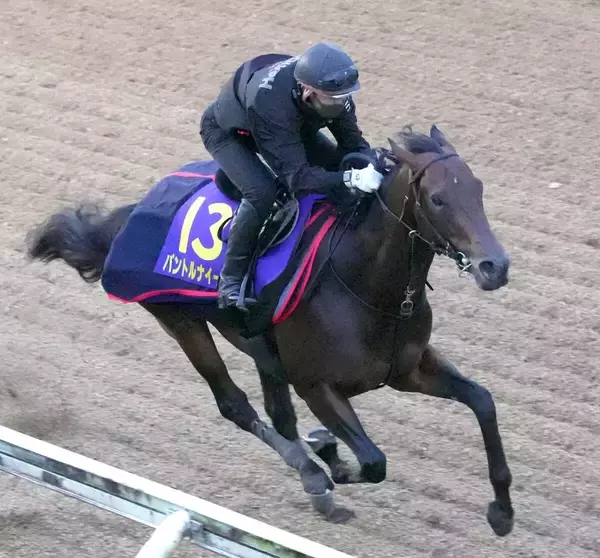 【日本ダービー】ルメール騎手が能力信じて継続騎乗のパントルナイーフ　陣営「そこは素直に受け止めている」