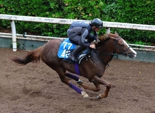 月曜阪神競馬場の注目激走馬…阪神１０Ｒ・キタサンブラックカップ