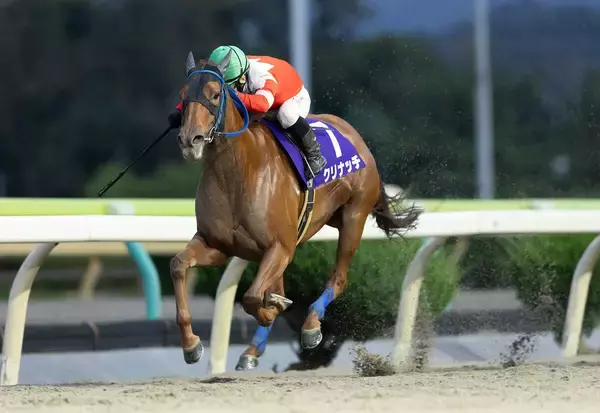 【水沢競馬】クリナッチが破竹の７連勝でヴィーナススプリント制覇　山本聡哉騎手と菅原勲調教師のコンビ