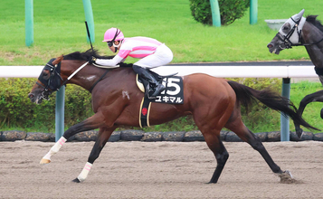 【注目馬動向】ユキマルは霜月ＳからカペラＳへ　ドンエレクトスは武蔵野Ｓを視野に
