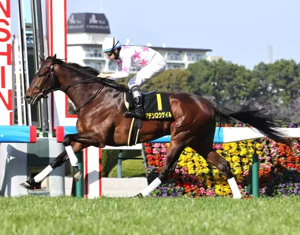 日本ダービー５着のマテンロウゲイルが電撃引退...今年の若葉Ｓ勝ち馬にアクシデント