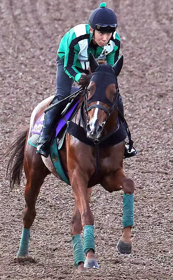 【天皇賞・秋】シェイクユアハートは充実一途　３勝クラス卒業に１５戦要したのがウソのよう...宮調教師「競馬のうまさに...」