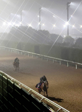 【有馬記念】連覇に向けて調整は順調　レガレイラは坂路でスピード感ある走り　木村調教師「体に膨らみ出てきた」