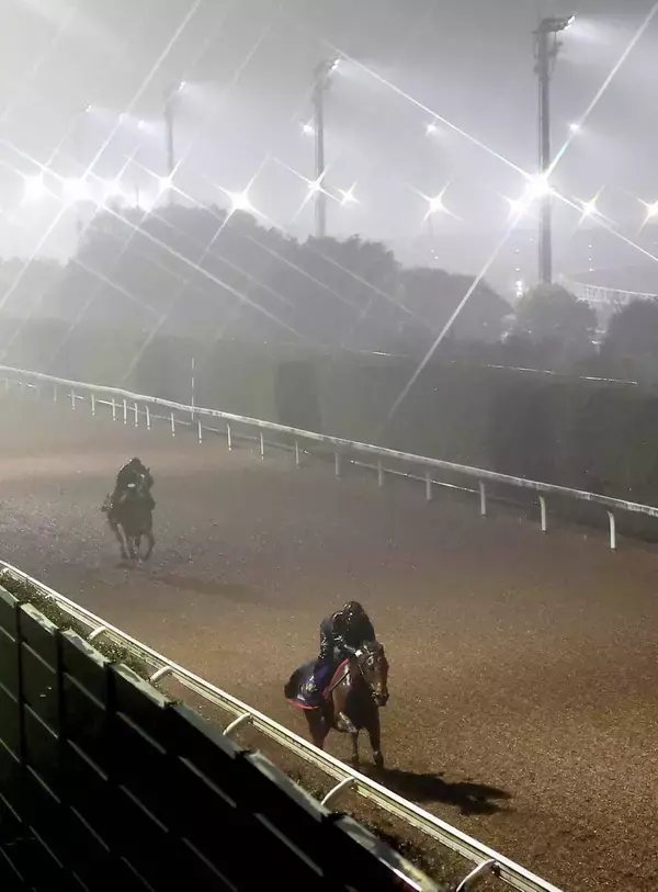 【有馬記念】連覇に向けて調整は順調　レガレイラは坂路でスピード感ある走り　木村調教師「体に膨らみ出てきた」