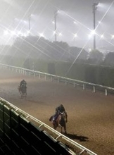 【有馬記念】連覇に向けて調整は順調　レガレイラは坂路でスピード感ある走り　木村調教師「体に膨らみ出てきた」