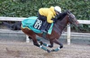 【京成杯】自らまたがった上村調教師は好時計に「それだけ出来がいいということ」と納得　アクセスが坂路で絶好の追い切り