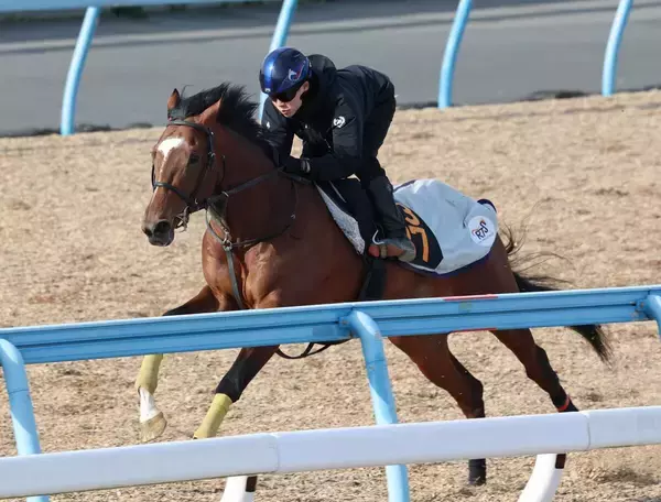 日曜中山競馬場の注目激走馬…中山１１Ｒ京成杯・Ｇ３