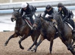 【桜花賞・１週前】一番時計をマークし先着したショウナンカリスに加藤士調教師も手応え「うまくやれました」