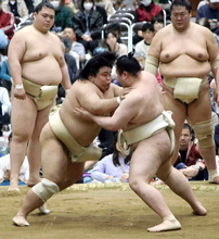 「相手が強いほど燃える」　春場所新入幕の藤凌駕が申し合いで注目の的　サイン求め多くのファン…夏場所は勝ち越し目指す