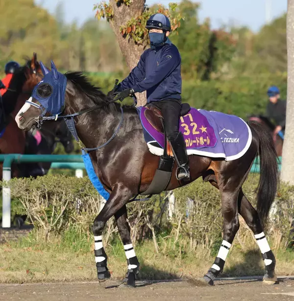 ２６日香港チャンピオンズデーの３競走でＪＲＡ馬券発売　サトノレーヴ、ジャンタルマンタル、マスカレードボールなどが挑む