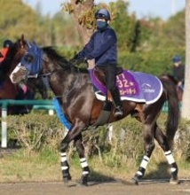 ２６日香港チャンピオンズデーの３競走でＪＲＡ馬券発売　サトノレーヴ、ジャンタルマンタル、マスカレードボールなどが挑む