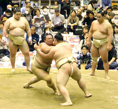 元大関・朝乃山が幕内・王鵬らと計１２番　握手会に登場し年配のファンから「えー！」と歓喜の叫び