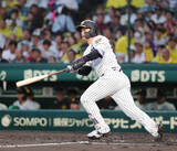 「【阪神】森下翔太、珍し自画自賛弾　１２号ソロで佐藤に並ぶトップタイ　９０キロカーブを強振」の画像1