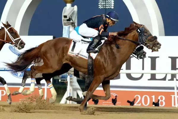 種牡馬のマインドユアビスケッツが１３歳で死す　産駒のデルマソトガケがＢＣクラシック２着　先週はビスケットサンドが新馬勝ち