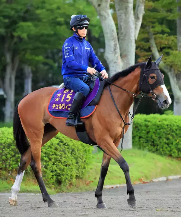 【新潟記念】２４年牝馬２冠のチェルヴィニアは秋華賞以来の２０００メートルできっかけを　陣営「かなり舞台設定は向く」