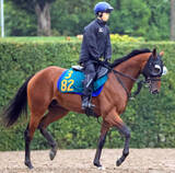 「【注目馬動向】新潟２歳Ｓ２着のトウシンマジック　年内の大目標は朝日杯ＦＳ　秋本調教師「レース後は問題ないです」」の画像1