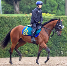 【注目馬動向】新潟２歳Ｓ２着のトウシンマジック　年内の大目標は朝日杯ＦＳ　秋本調教師「レース後は問題ないです」