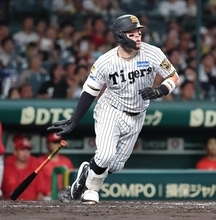 【阪神】佐藤輝明の適時打で先制！大山悠輔は中前適時打で通算７００打点　連敗止めた１７日も２人の連打で先制点奪う