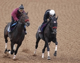 【東京ハイジャンプ】王者エコロデュエルが秋初戦へ順調　ＪＧ１馬の制覇ならオジュウチョウサン以来　草野太郎騎手「例年の状態にはある」