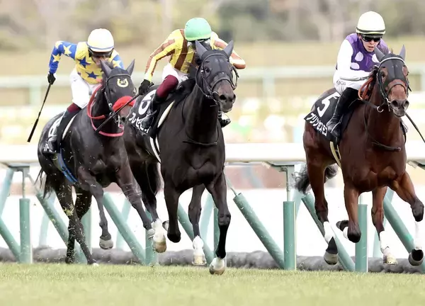 【中京９Ｒ・つわぶき賞】８番人気のプレセピオが首差で勝利　富田暁騎手「坂を上ってからももうひと踏ん張りした」