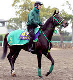 「【ホープフルＳ】先行力が魅力のジーネキング　微妙な７枠１４番に陣営「ハナにこだわるわけでは…」」の画像1