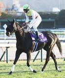 「【注目馬動向】セイウンハーデスは中山記念から春３戦　最大目標は安田記念　鞍上は復帰する幸英明騎手」の画像1