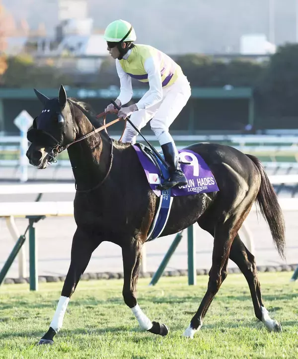【注目馬動向】セイウンハーデスは中山記念から春３戦　最大目標は安田記念　鞍上は復帰する幸英明騎手