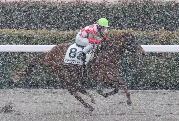 ７日の東京競馬は雪の影響で８Ｒ以降が中止に　代替競馬および続行競馬は実施せず