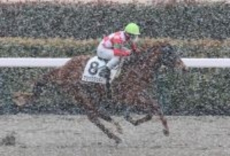 ７日の東京競馬は雪の影響で８Ｒ以降が中止に　開催中は２０年３月２９日の中山競馬以来