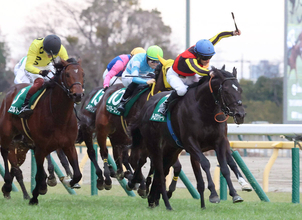 【注目馬動向】東京新聞杯を制したトロヴァトーレは読売マイラーズＣへ