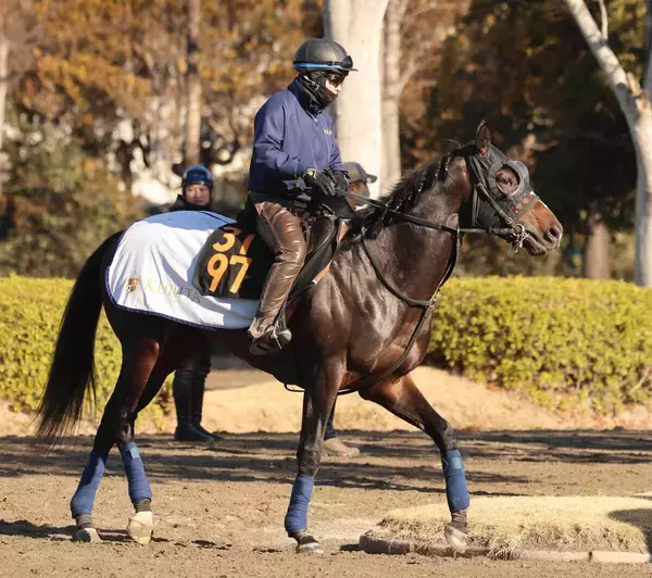 【スプリングＳ】ルメール騎手のクレパスキュラーが単勝１・８倍で断トツの１番人気　前日最終オッズ