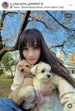 「電撃婚から５か月…あ～ちゃんの近影に「元気そうで良かった」「髪の毛伸びたね」愛犬２匹をギュッ…春満喫ショット」の画像1