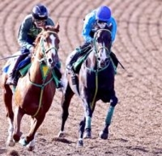 【青葉賞】好仕上がりオルフセンはラスト１ハロン１１秒１　斎藤誠調教師「思っていた通りに仕上がった」