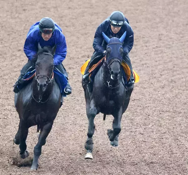 【府中牝馬Ｓ】Ｇ１級３勝ノッてる「タナパク厩舎」ヴァルキリーバース上昇
