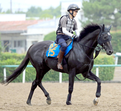 【七夕賞・角田の特注馬】前崩れの前走は度外視可能　アスクナイスショーが先行有利の重賞で浮上する