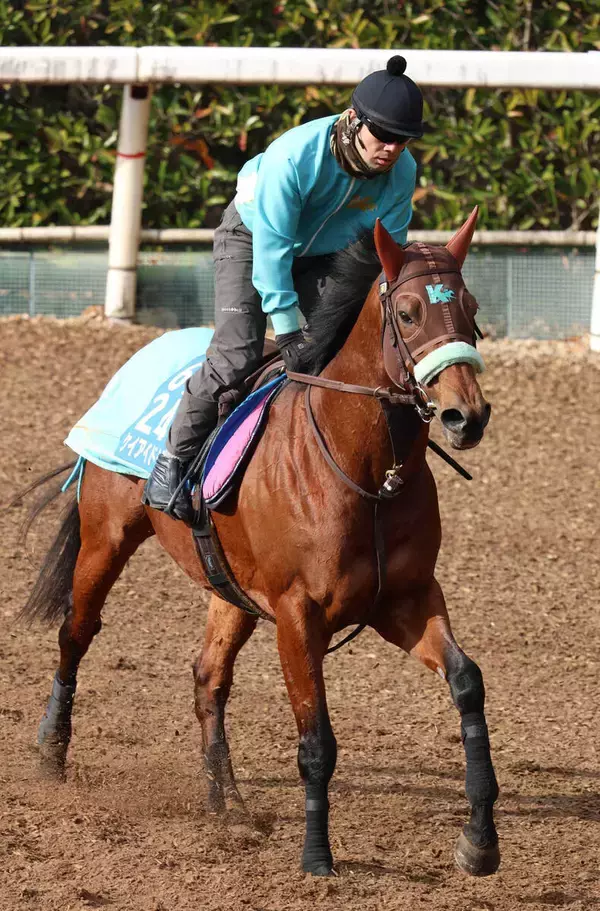２０２３年の北海道スプリントＣ覇者ケイアイドリーが競走馬登録抹消　門別競馬に移籍へ
